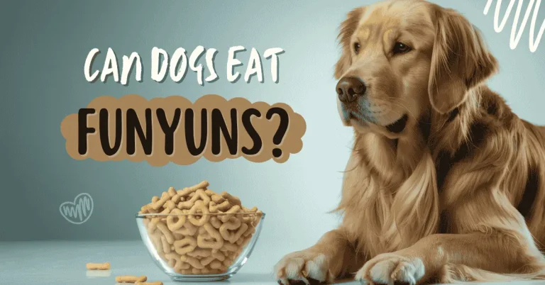 Can Dogs Eat Funyuns