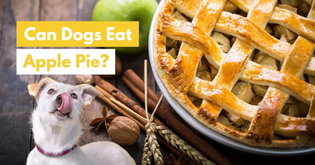 can my dog eat apple pie