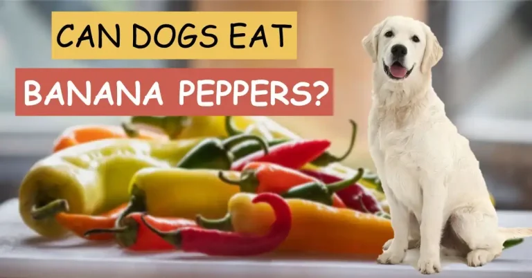 can dogs eat banana peppers