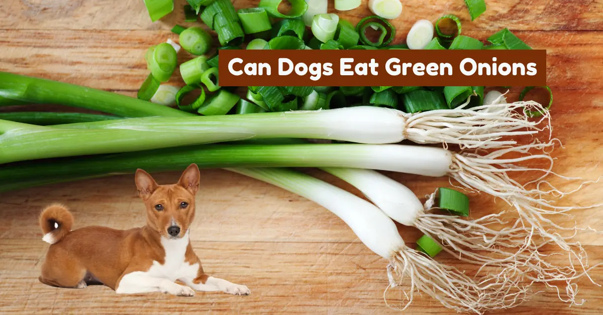 A Basenji dog lies on a wooden cutting board next to several fresh green onions, some whole and some chopped