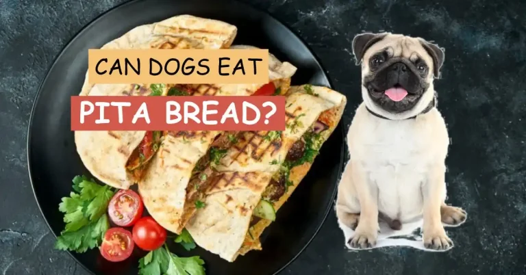 Can Dogs Eat Pita Bread