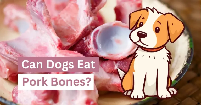 Can Dogs Eat Pork Bones