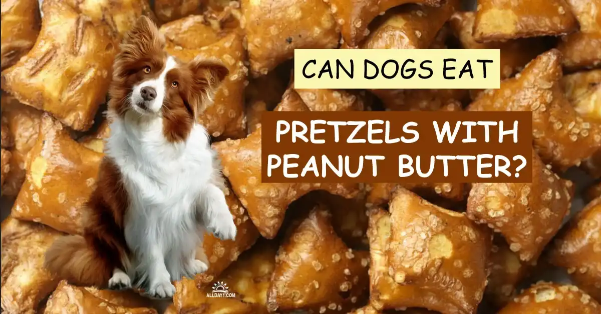 Can Dogs Eat Pretzels With Peanut Butter