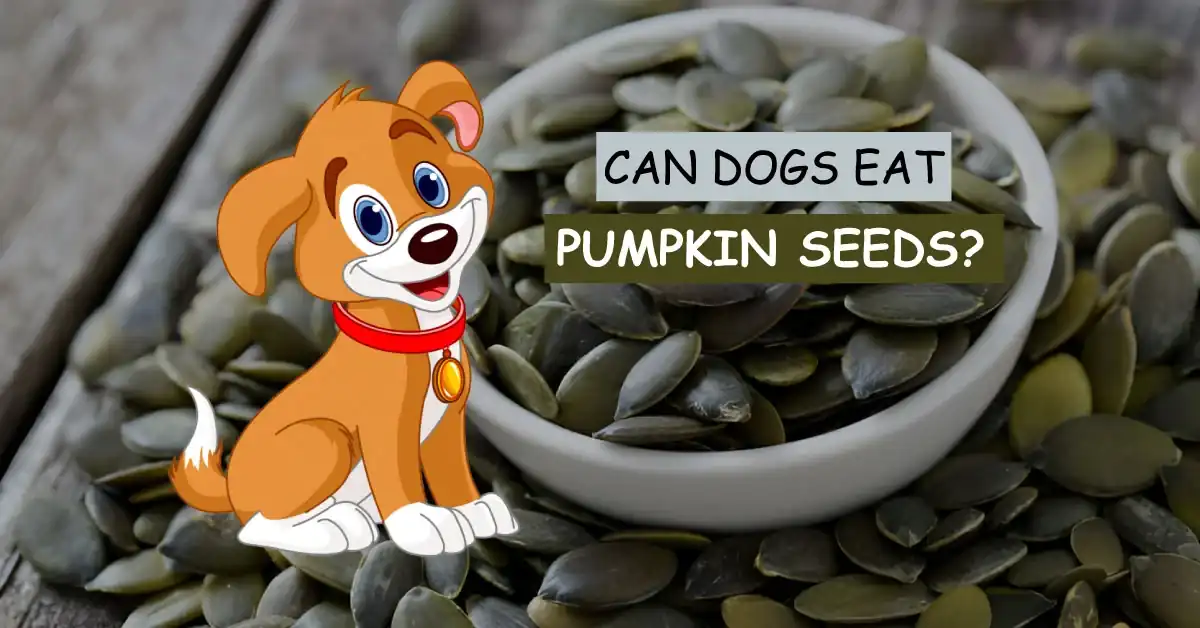 Can Dogs Eat Pumpkin Seeds
