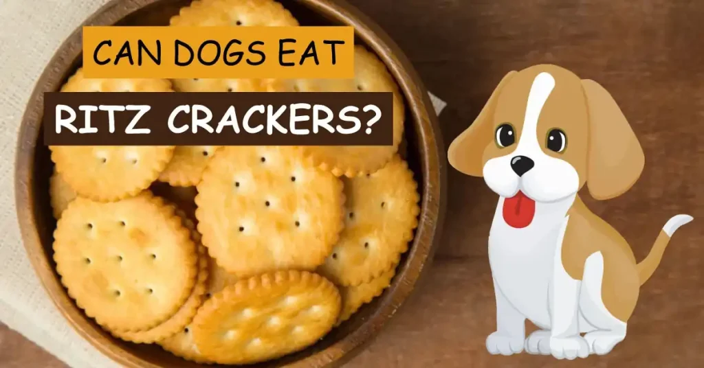 can dogs eat ritz crackers