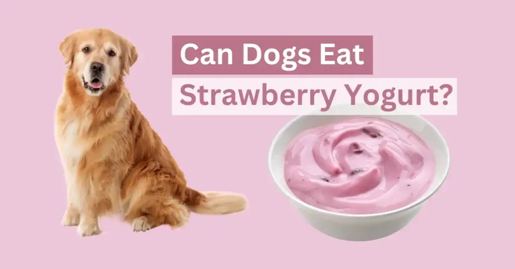 Can Dogs Eat Strawberry Yogurt