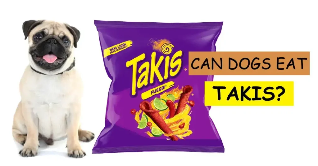 can dogs eat takis