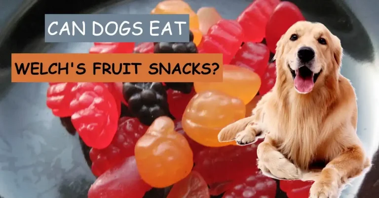 can dogs eat welch’s fruit snacks