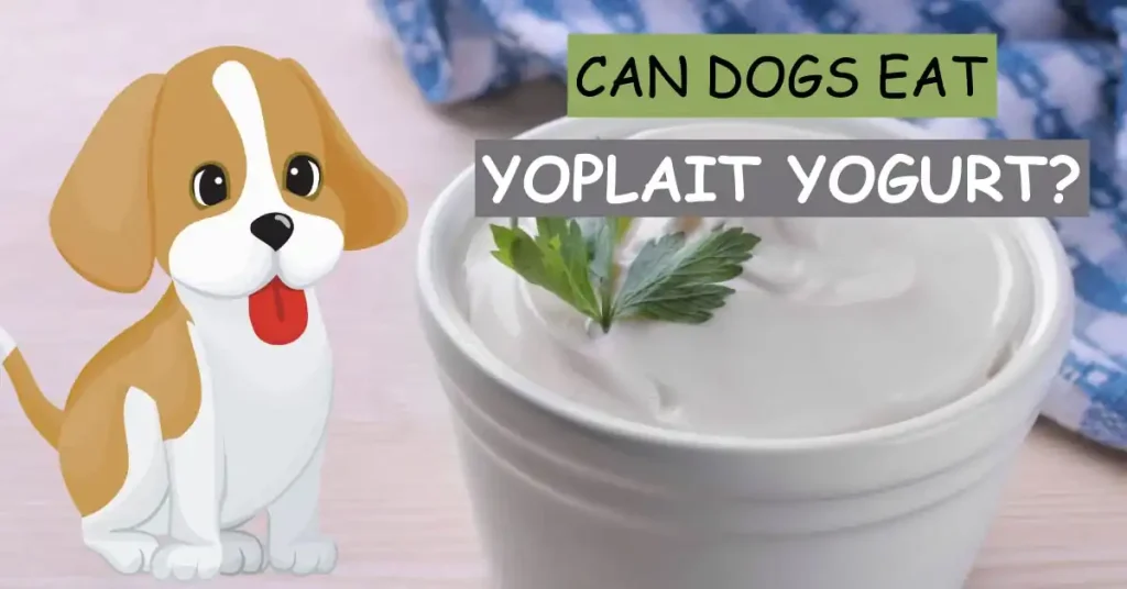 can dogs eat yoplait yogurt