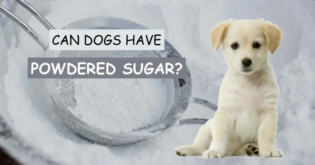Can Dogs Have Powdered Sugar