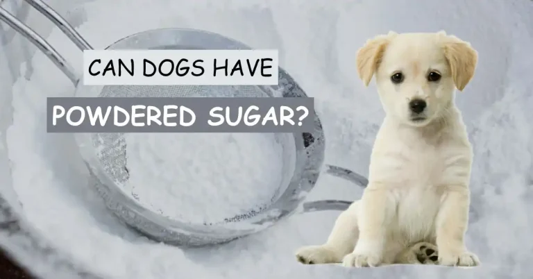 Can Dogs Have Powdered Sugar